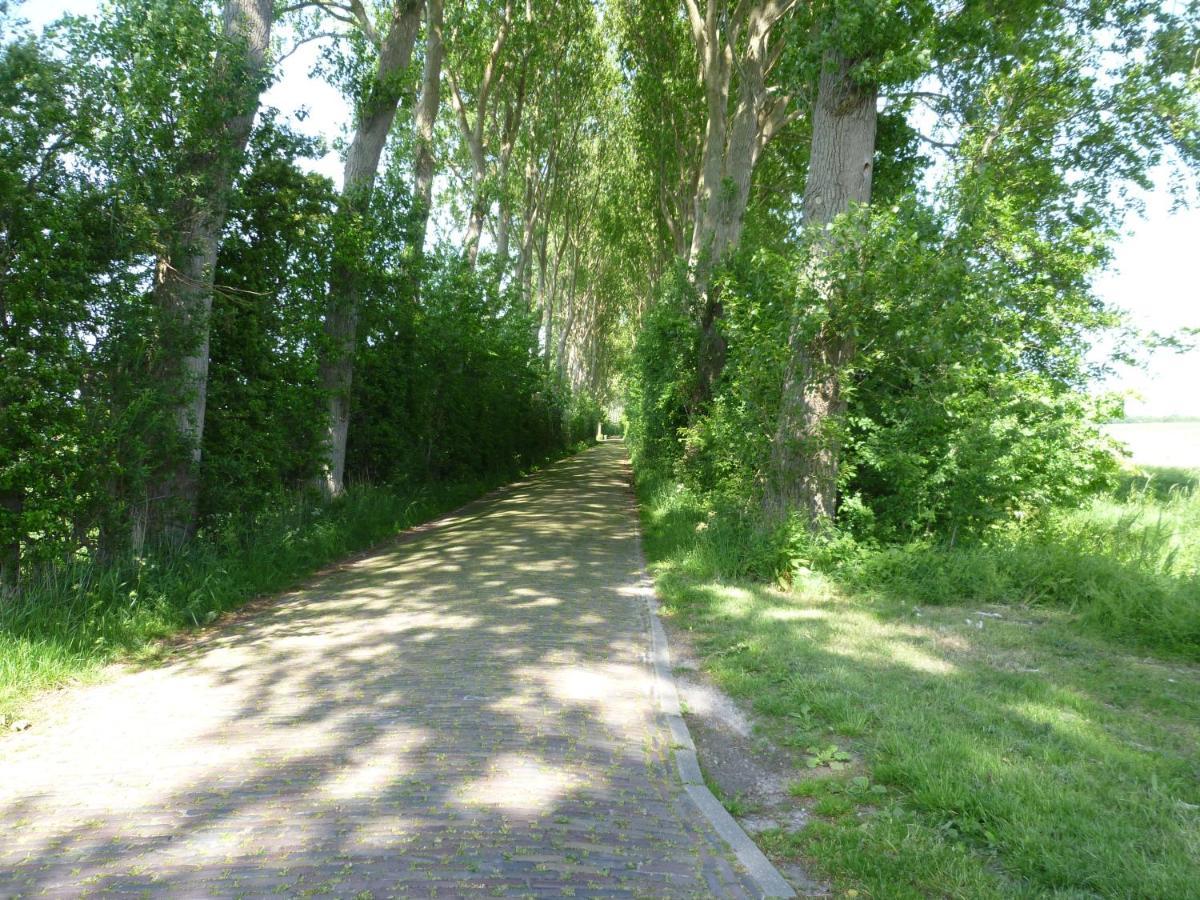 Vakantiewoning Domburg Do31 Ngoại thất bức ảnh