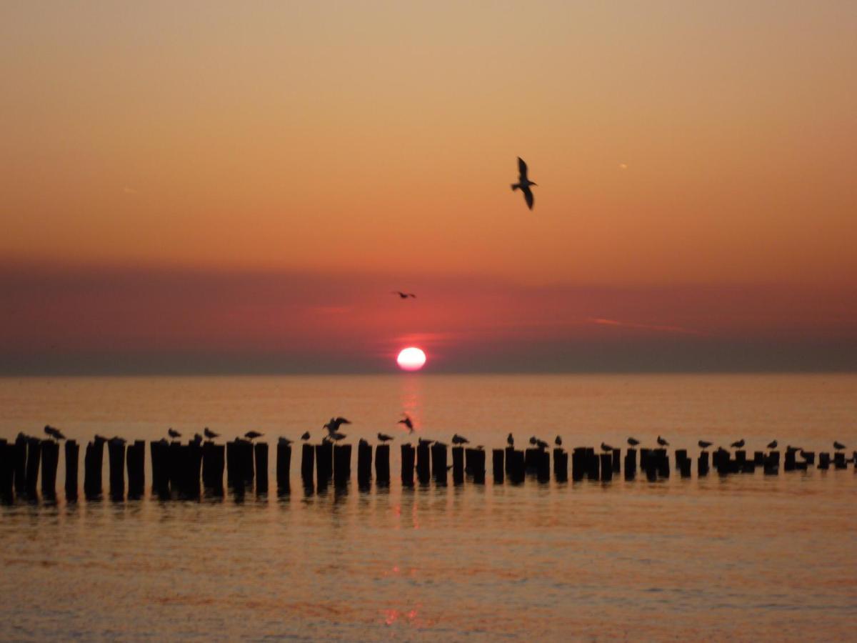 Vakantiewoning Domburg Do31 Ngoại thất bức ảnh